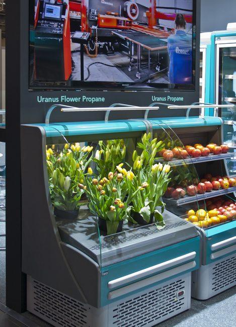Freor Uranus Flower display