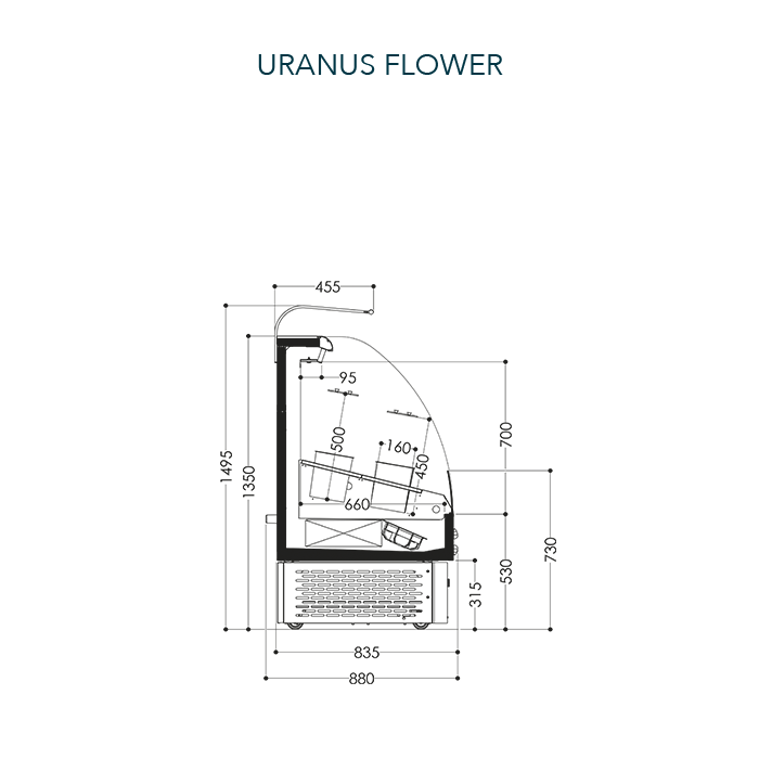 Freor Uranus Flower display