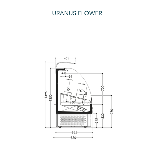 Freor Uranus Flower display